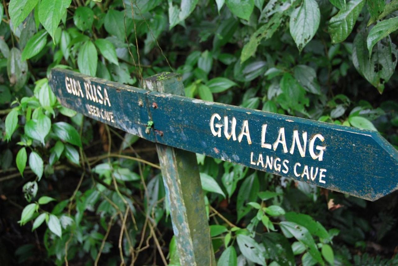 Benarat Lodge Gunung Mulu Nationalpark Exterior foto